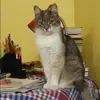 Отзыв от Лера Завьялова